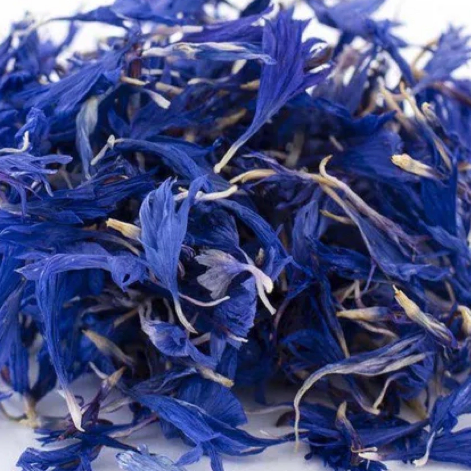 Bulk Dried Flowers Cornflowers Blue Organic Tomorrows Earth